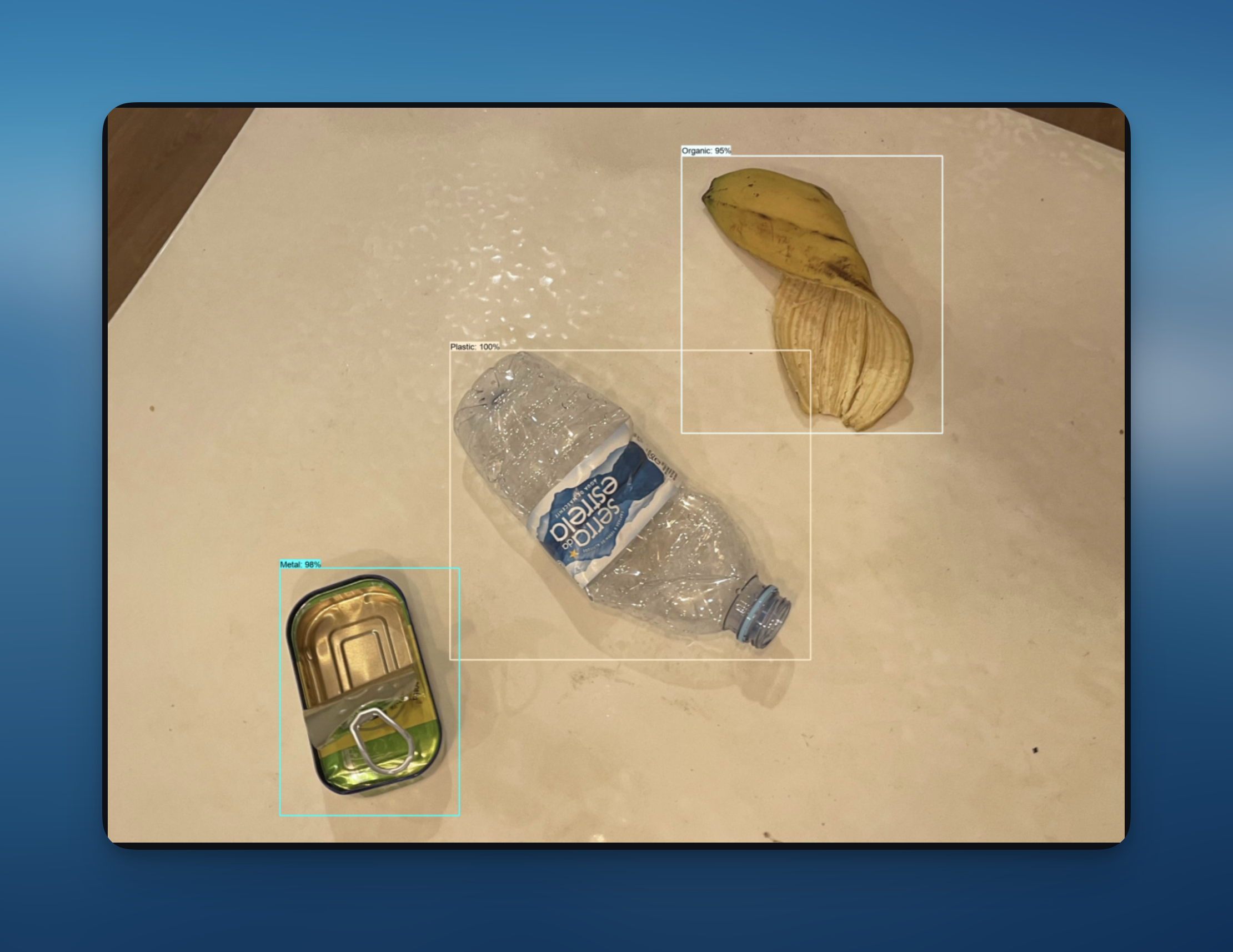 Trash Detector (Wall-E) preview